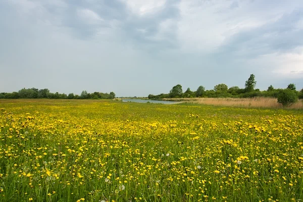 TTT-Fort-Everdingen-01