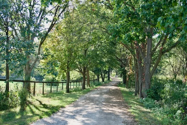 TTT-Kline-Creek-Farm-West-Chicago-IL-01