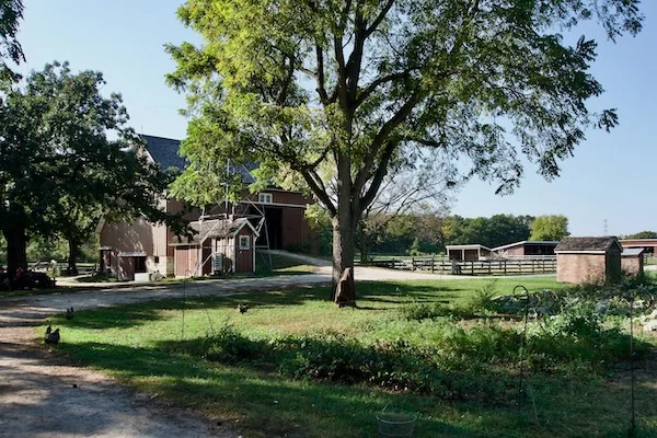 TTT-Kline-Creek-Farm-West-Chicago-IL-02