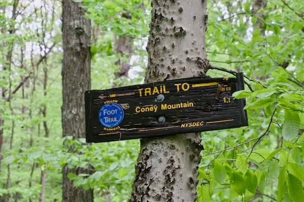 TTT-Tupper-Lake-Triad-Coney-Mountain-01