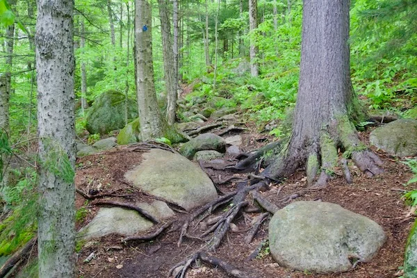 TTT-Tupper-Lake-Triad-Coney-Mountain-02