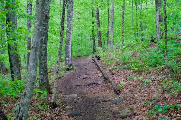 TTT-Tupper-Lake-Triad-Coney-Mountain-03