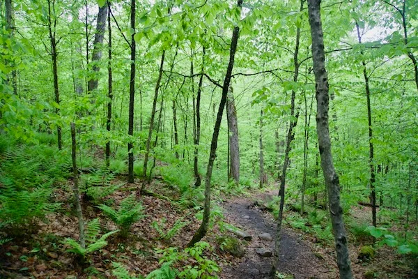TTT-Tupper-Lake-Triad-Coney-Mountain-06