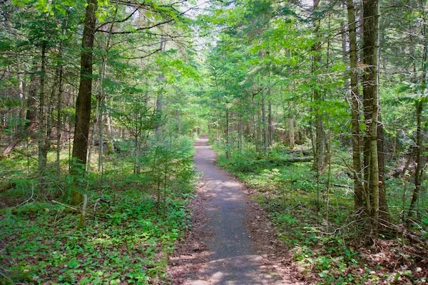 TTT-Tupper-Lake-Triad-Goodman-Mountain-03