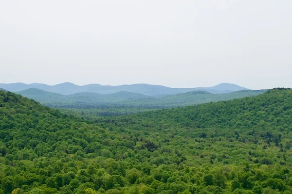 TTT-Tupper-Lake-Triad-Goodman-Mountain-06