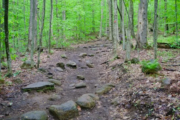 TTT-Tupper-Lake-Triad-Mount-Arab-02