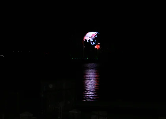 TTT-Walt-Disney-World-Orlando-FL-02
