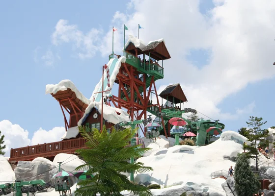 TTT-Walt-Disney-World-Orlando-FL-06