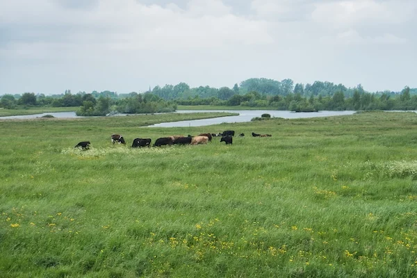 TTT-Werk-Aan-Het-Spoel-02