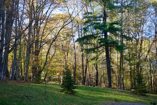 TTT-Airbnb-Stamford-NY-02