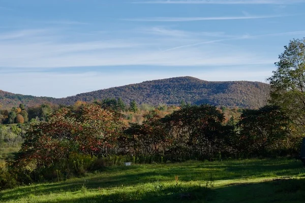 TTT-Airbnb-Stamford-NY-04