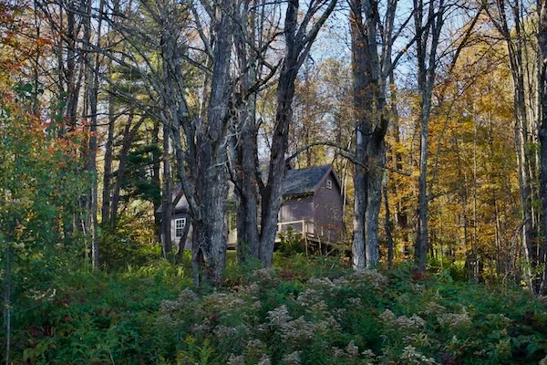 TTT-Airbnb-Stamford-NY-05