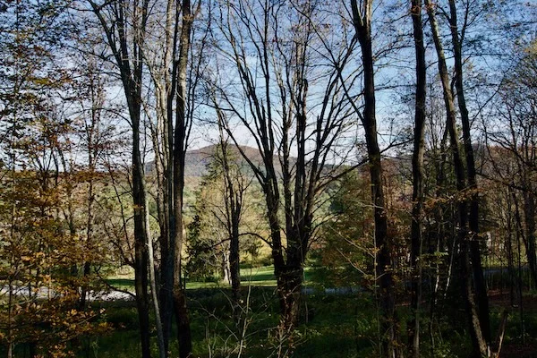 TTT-Airbnb-Stamford-NY-06