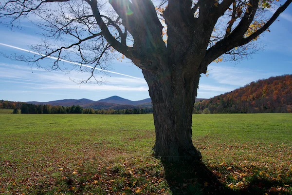 TTT-Around-Echo-Lake-Charleston-VT-05