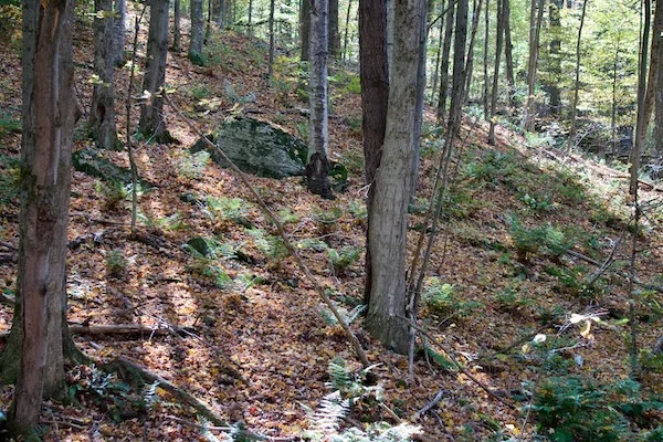 TTT-Bald-Mountain-Stamford-NY-04