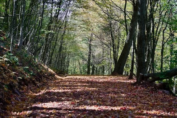 TTT-Bald-Mountain-Stamford-NY-11