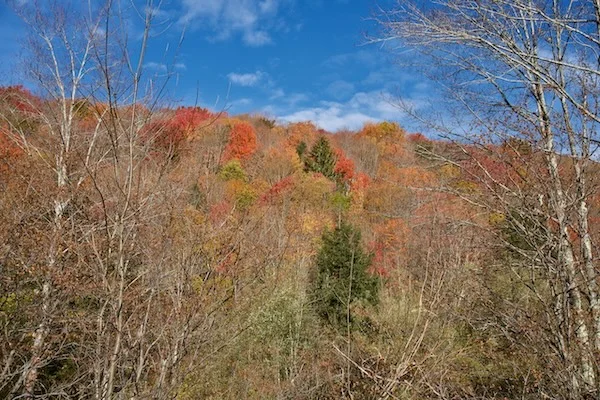 TTT-Catskill-Mountains-NY10-S-01