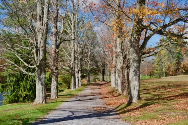 TTT-Churchill-Park-Historical-District-Stamford-NY-03
