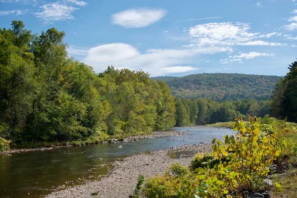 TTT-Emerson-Esopus-Creek-01
