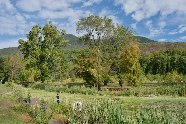 TTT-Emerson-Mountains-01