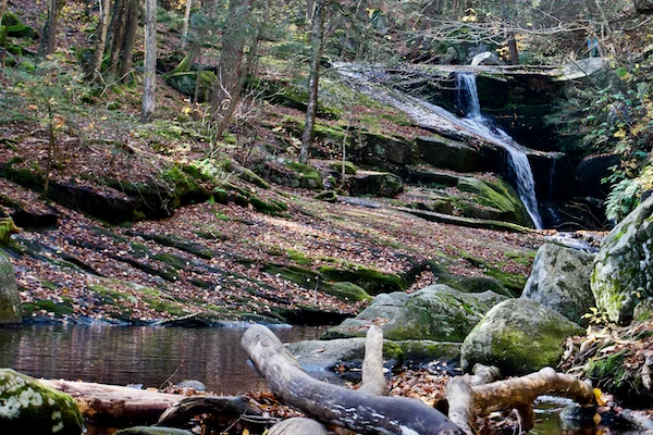 TTT-Enders-State-Forest-04