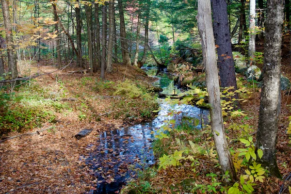 TTT-Hamlin-Eames-Smyth-Recreation-and-Conservation-Area-01