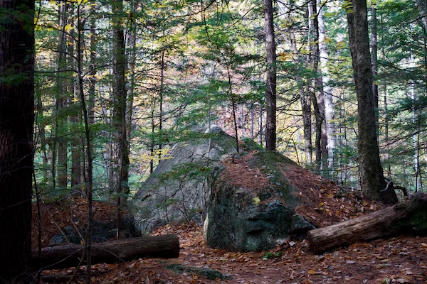 TTT-Hamlin-Eames-Smyth-Recreation-and-Conservation-Area-02