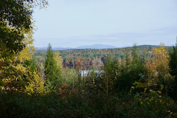 TTT-Hamlin-Eames-Smyth-Recreation-and-Conservation-Area-03