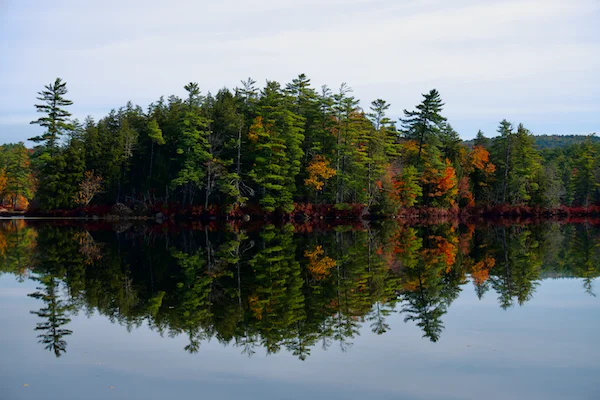 TTT-Hamlin-Eames-Smyth-Recreation-and-Conservation-Area-05