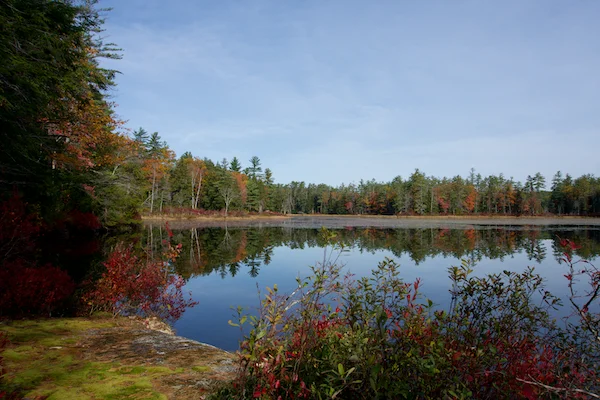 TTT-Hamlin-Eames-Smyth-Recreation-and-Conservation-Area-06