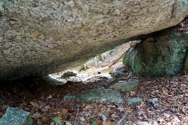 TTT-Hamlin-Eames-Smyth-Recreation-and-Conservation-Area-07