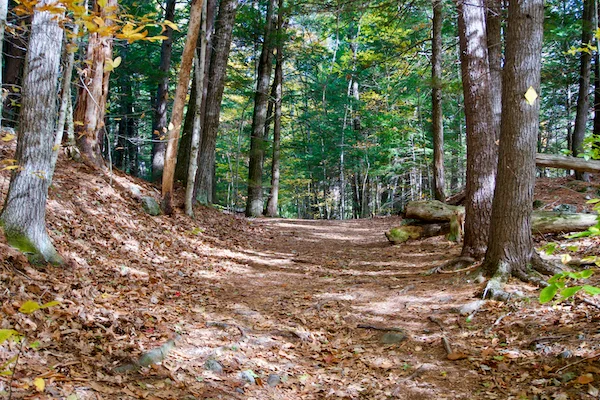 TTT-Hamlin-Eames-Smyth-Recreation-and-Conservation-Area-10