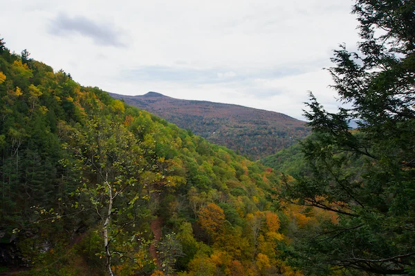 TTT-Kaaterskill-Falls-View-01