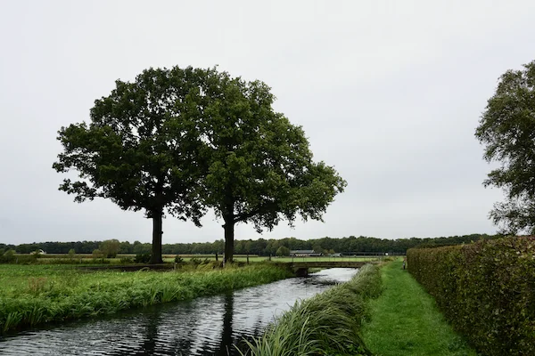 TTT-Lettele-Church-Path-02