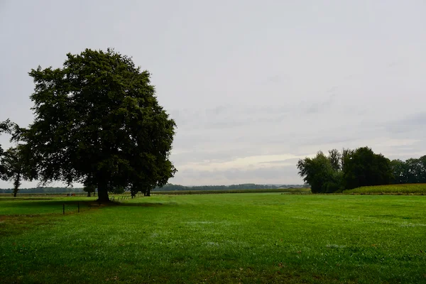 TTT-Okkenbroek-Meadows-01