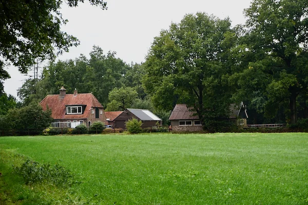 TTT-Okkenbroek-Meadows-02