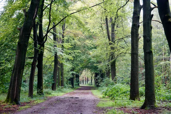 TTT-Oostermaet-Estate-01