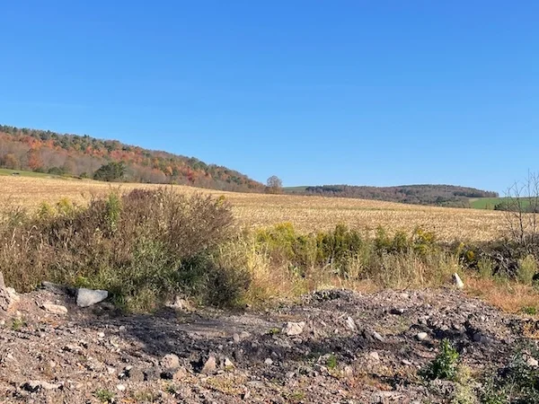 TTT-Running-Rail-To-Trail-Stamford-NY-01