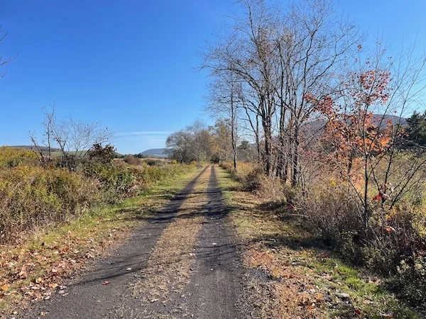 TTT-Running-Rail-To-Trail-Stamford-NY-02