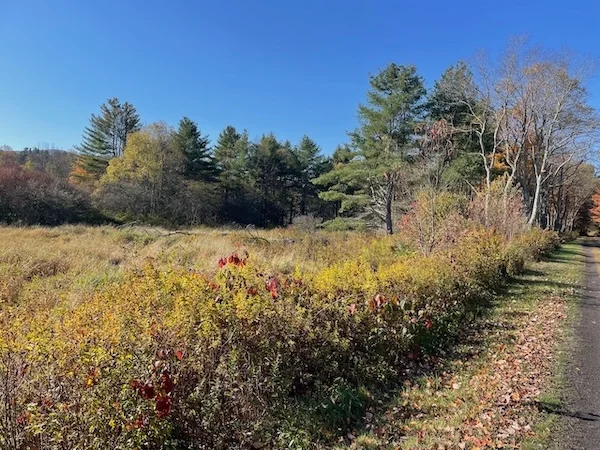 TTT-Running-Rail-To-Trail-Stamford-NY-03