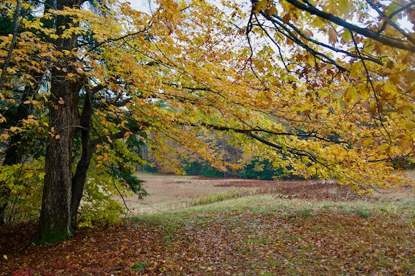 TTT-Saint-Gaudens-NHP-Garden-01