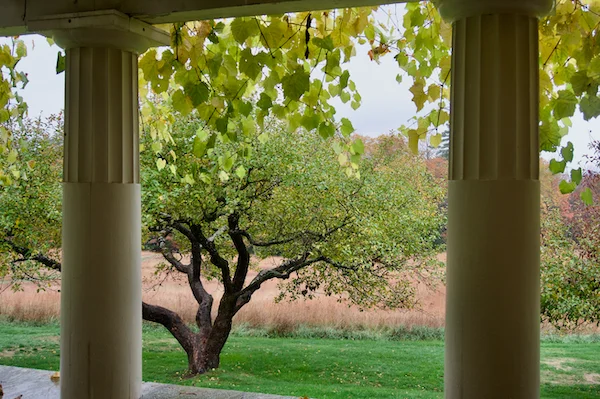 TTT-Saint-Gaudens-NHP-Garden-02