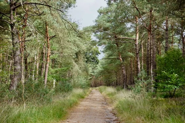 TTT-Sallandse-Heuvelrug-NP-07