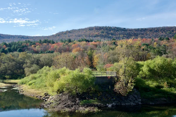TTT-Site-Former-Dunraven-Bridge-02