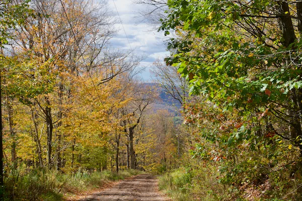TTT-Utsayantha-Mountain-Stamford-NY-07