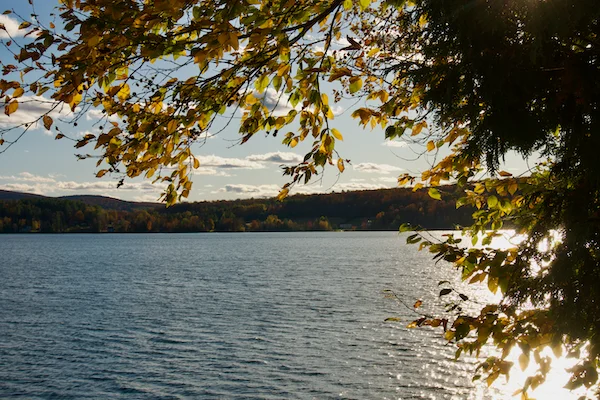 TTT-View-Airbnb-Echo-Lake-02