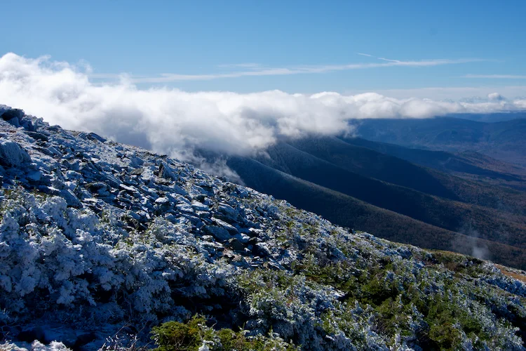 TTT-View-From-Mount-Washington-NH-02