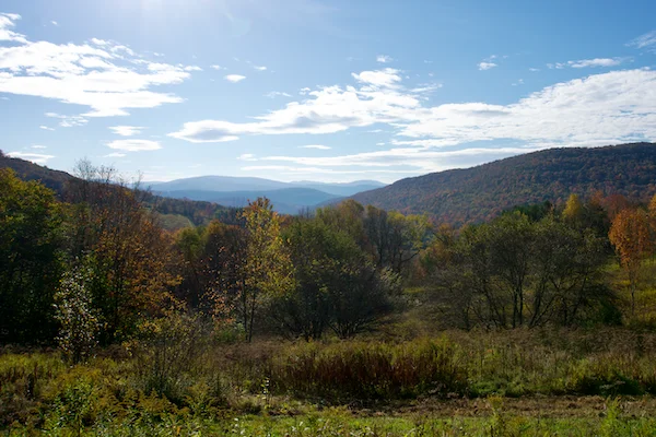 TTT-View-Point-Palmer-Hill-01