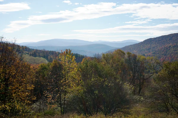 TTT-View-Point-Palmer-Hill-02