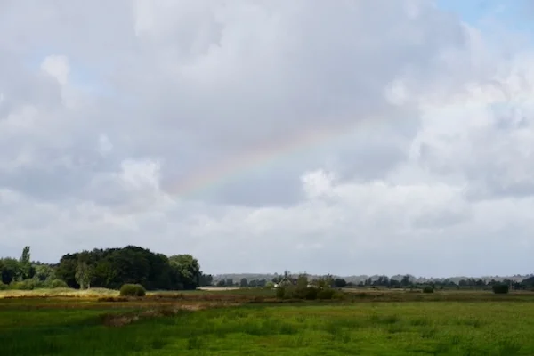 TTT-Zunasche-Heide-01